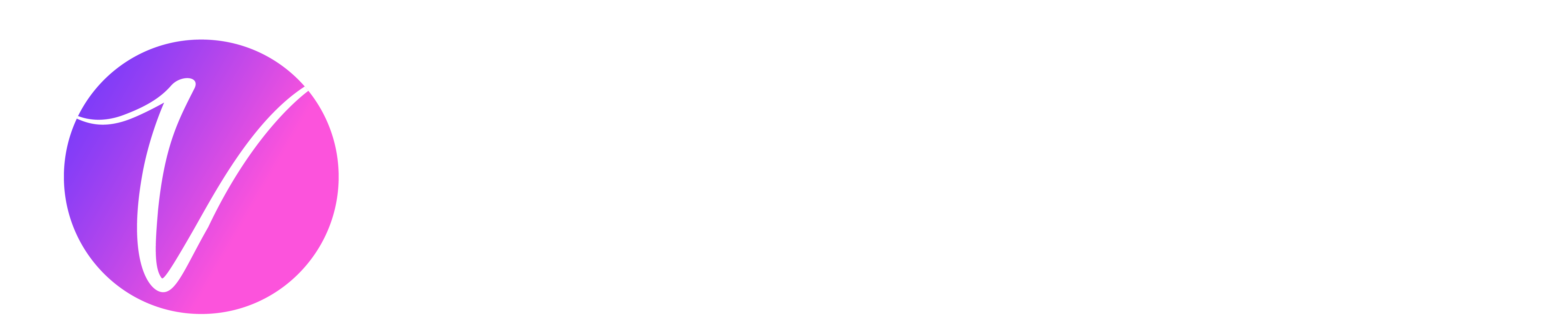 VeilBook logo v.3_Veilbook Logo V.2 Colored copy