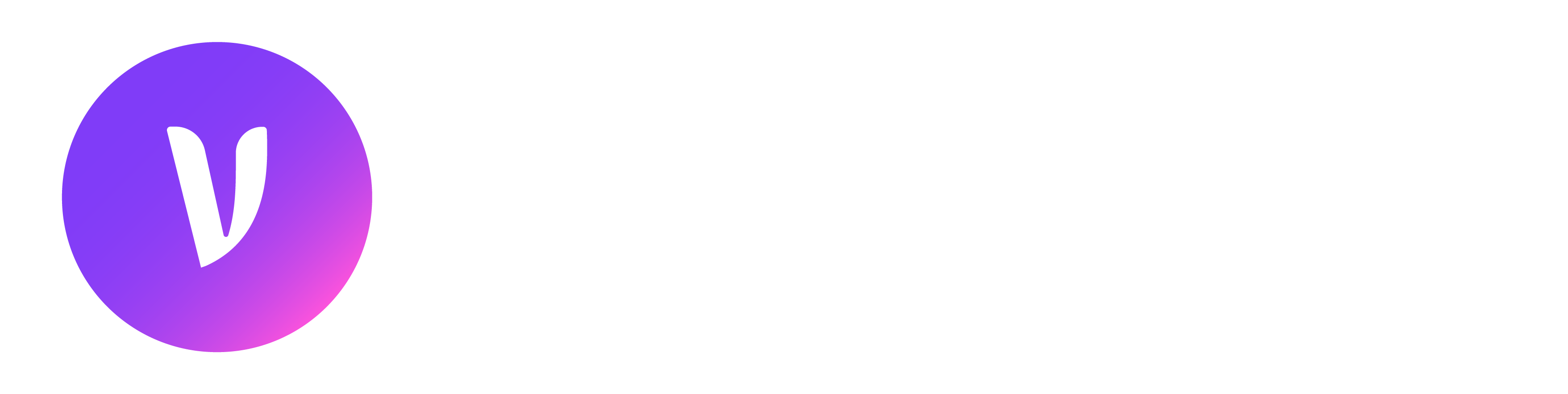 VeilBook Logo